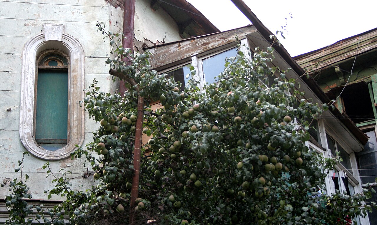 Best Hostels in Tbilisi for Backpackers & Nomads