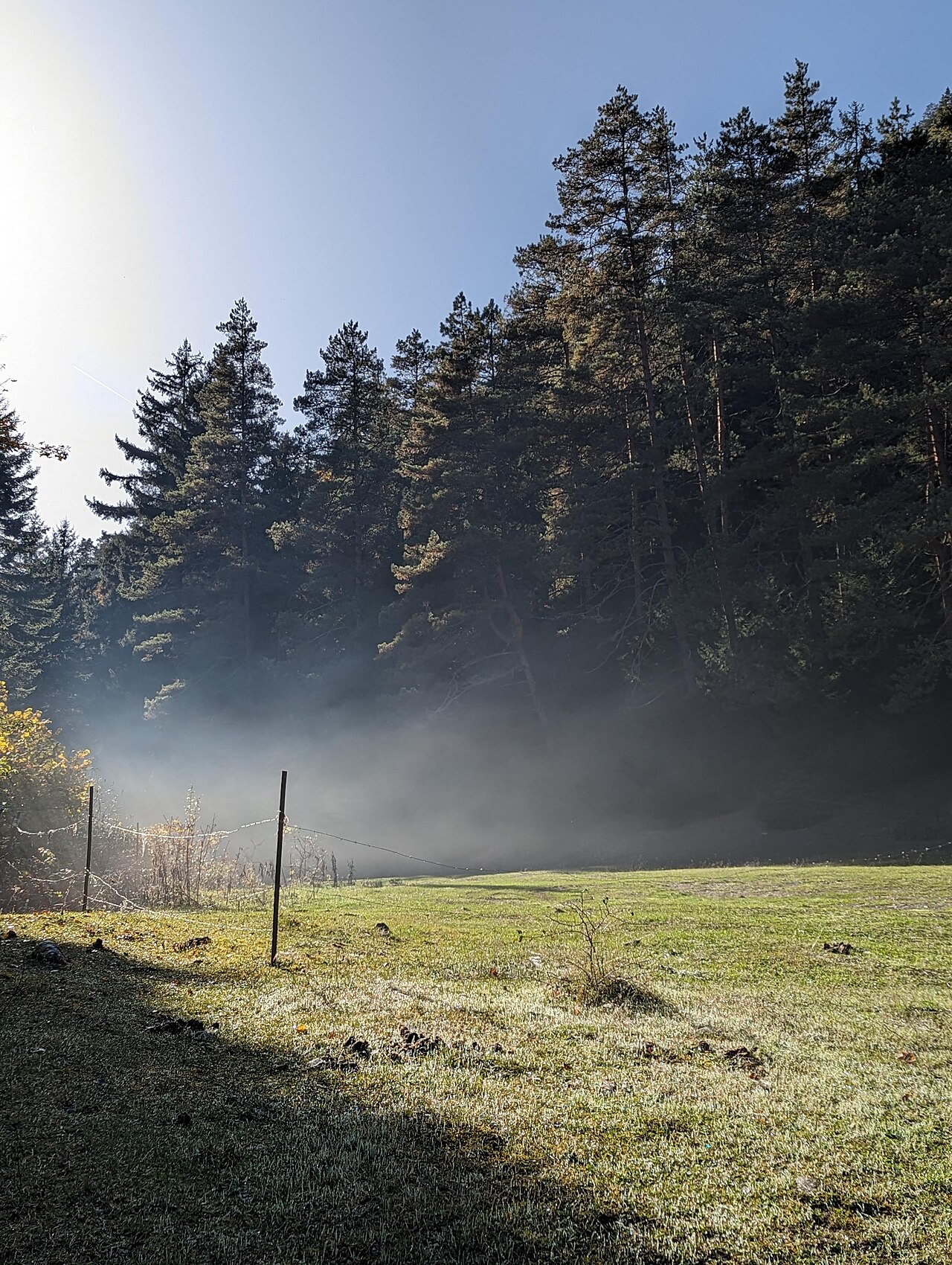 Borjomi-Kharagauli National Park: Trails, Huts, and Rules