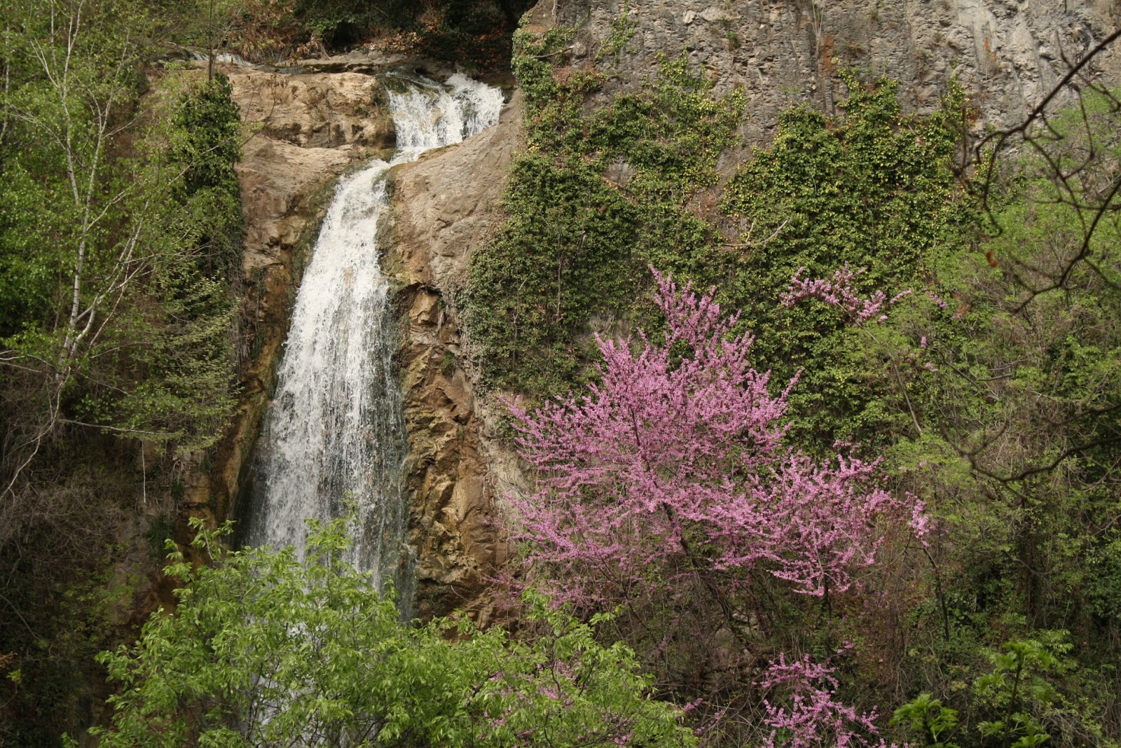 Tbilisi Botanical Garden: Which Entrance and How Long