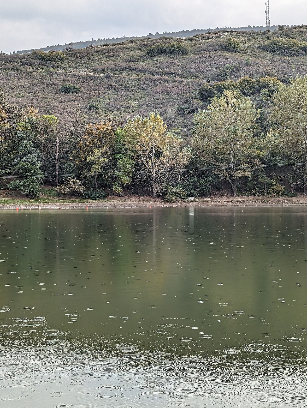 Turtle Lake Tbilisi Kus Tba — The Tbilisi Guide